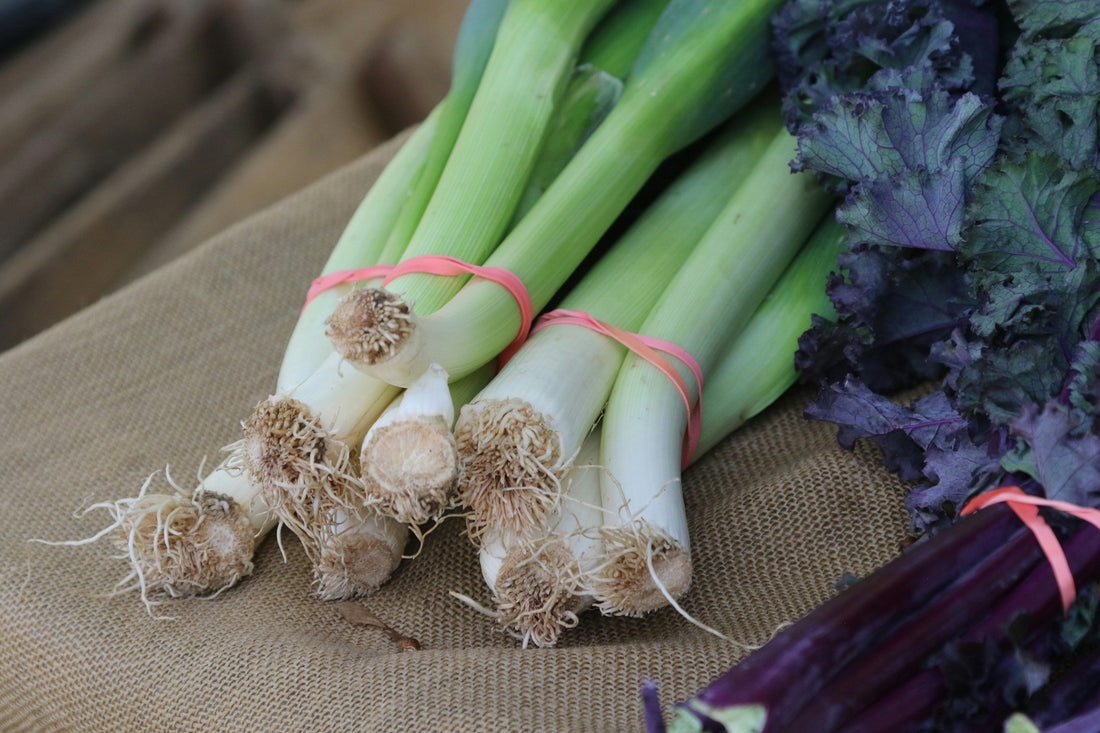 How to cook leeks: the underrated winter vegetable